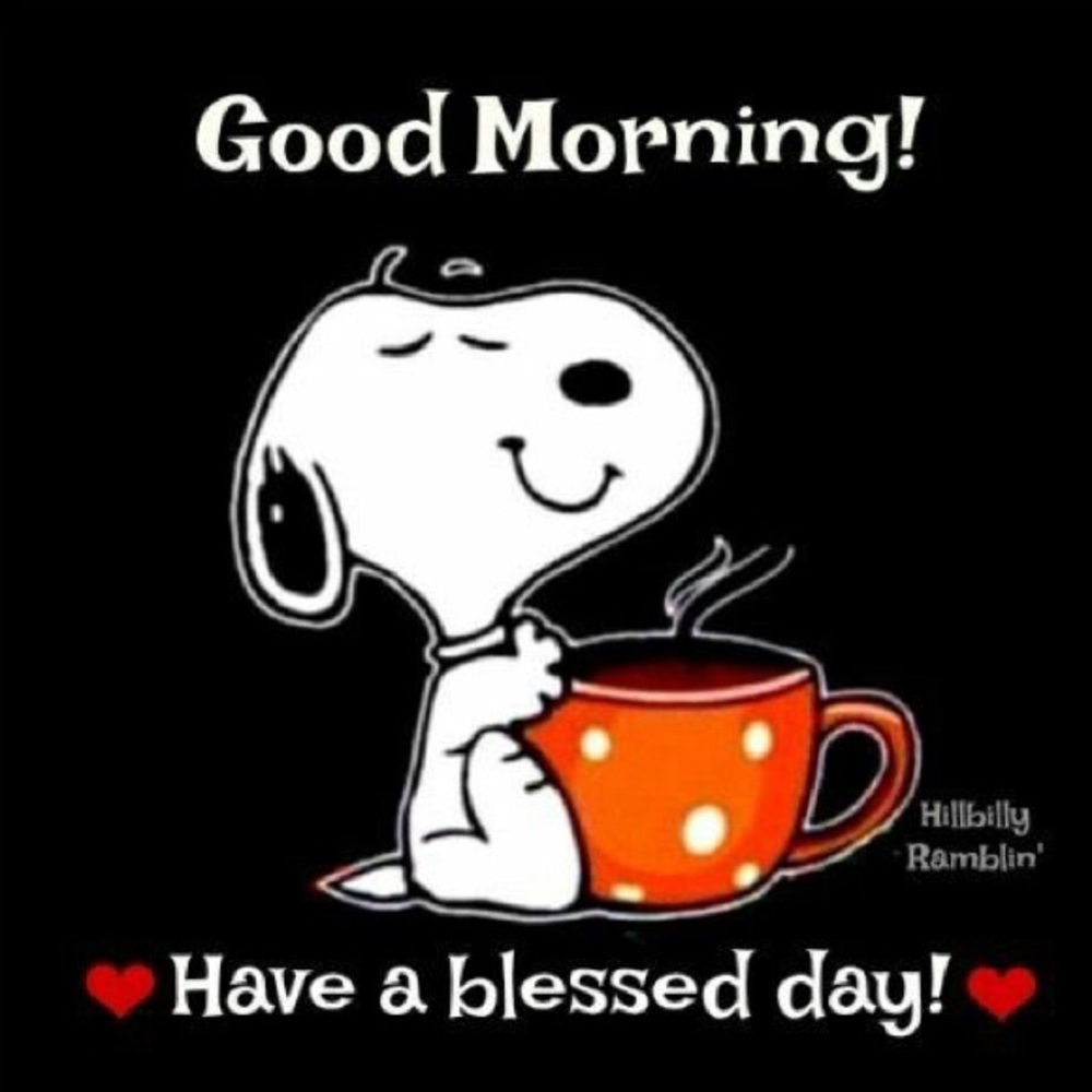 Hello ☕️